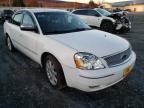 FORD 500 2005 foto