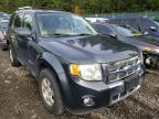 2009 FORD  ESCAPE