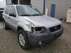 2007 FORD  ESCAPE