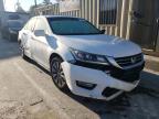 2013 HONDA  ACCORD