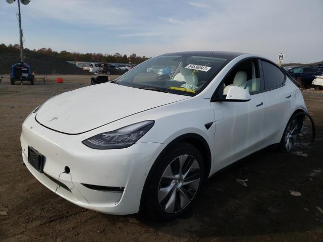 2021 TESLA MODEL Y 5YJYGDEE7MF153993