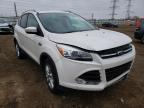 2014 FORD  ESCAPE