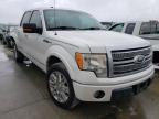 2010 FORD  F-150