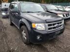 2009 FORD  ESCAPE