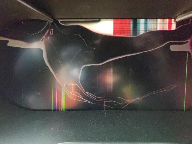 2020 MERCEDES-BENZ GLC COUPE WDC0J8EB2LF687998