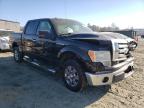 2009 FORD  F-150