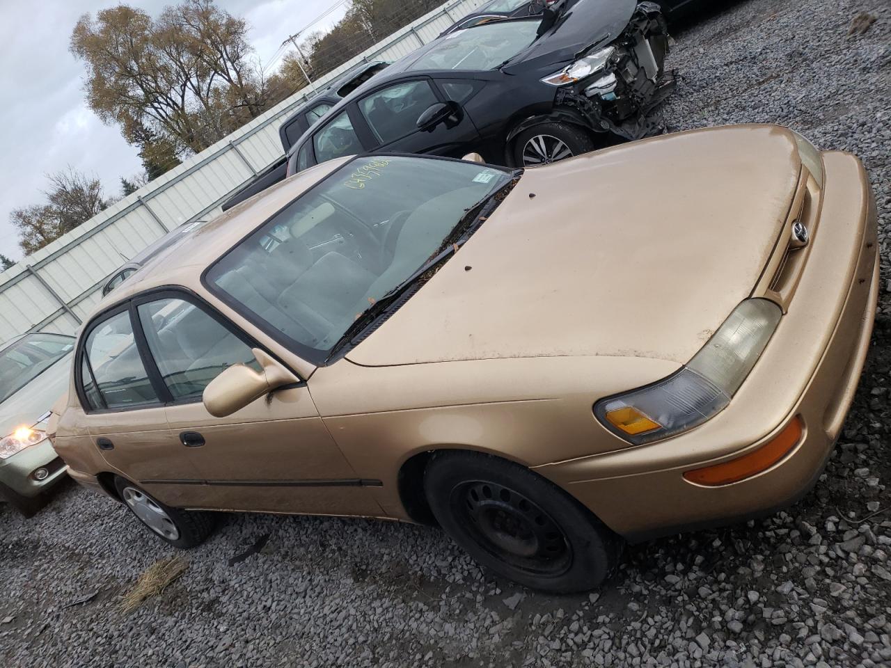 TOYOTA COROLLA DX 1996, 1NXBB02E8TZ388549 — Auto Auction Spot