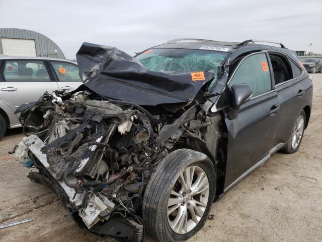 2010 LEXUS RX 450 JTJBC1BA0A2013281