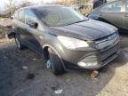 2014 FORD  ESCAPE