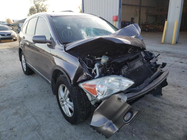 Salvage cars for sale from Copart Sikeston, MO: 2010 Honda CR-V EXL