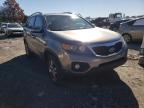 2011 KIA  SORENTO