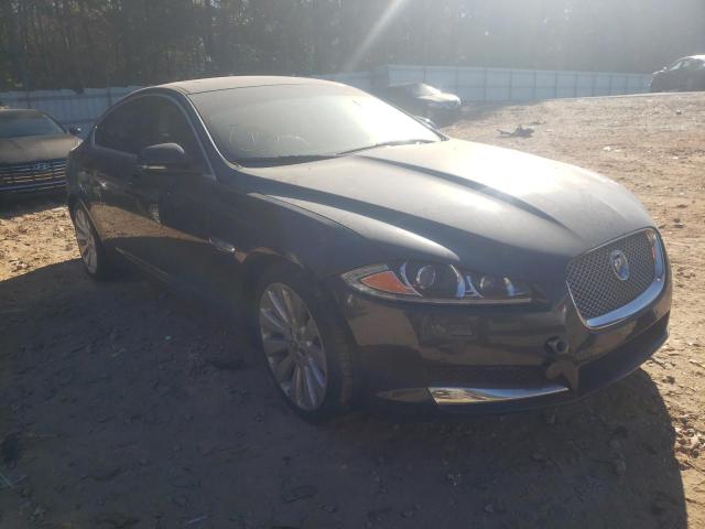 2013 JAGUAR XF