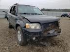 2007 FORD  ESCAPE