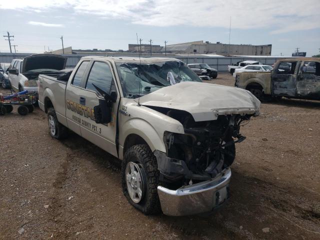 1FTEX1C81AKE03290 Ford F150 Super 2010