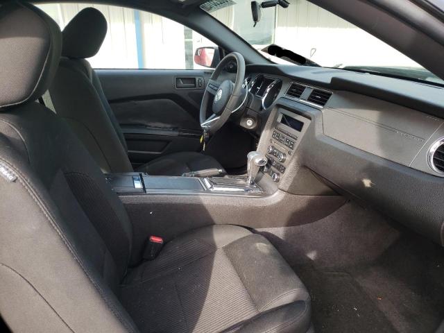 2011 FORD MUSTANG LX 1ZVBP8AM6B5100580