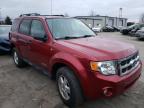 2008 FORD  ESCAPE