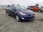 2013 HYUNDAI  ELANTRA