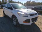 2013 FORD  ESCAPE