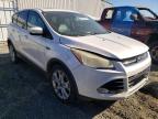 2013 FORD  ESCAPE