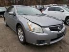 2007 NISSAN  MAXIMA