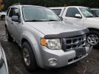 2008 FORD  ESCAPE