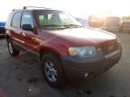 2007 FORD  ESCAPE