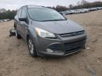 2013 FORD  ESCAPE