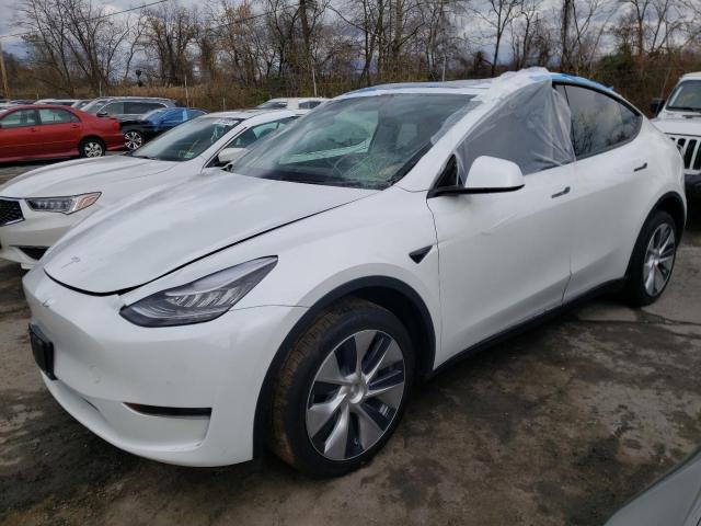 2020 TESLA MODEL Y 5YJYGDEE2LF043691
