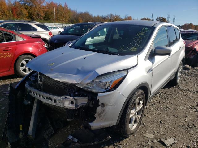 1FMCU0GX4EUD13990 Ford Escape Se 2014. Фото: 1