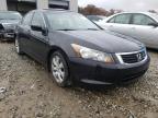 2010 HONDA  ACCORD