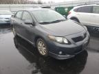 2009 TOYOTA  COROLLA