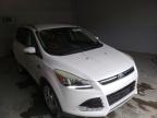 2014 FORD  ESCAPE