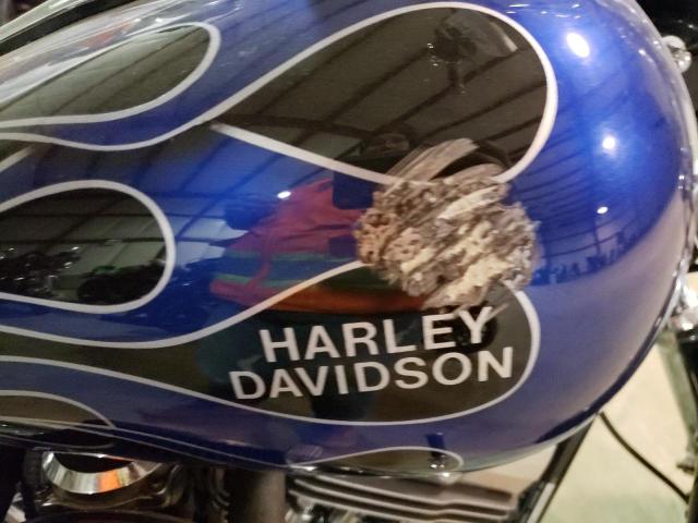 2005 HARLEY-DAVIDSON FXDL 1HD1GDV135K309593