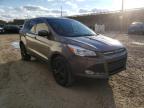 2014 FORD  ESCAPE