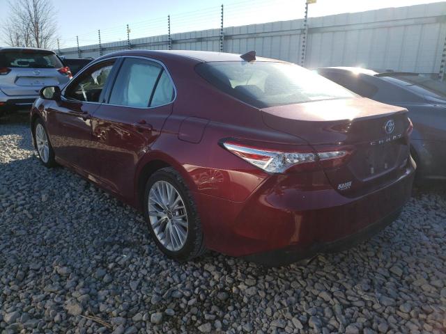 2020 TOYOTA CAMRY XLE 4T1F31AK1LU542689