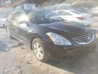 2010 NISSAN  ALTIMA