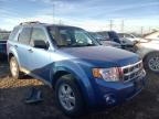 2009 FORD  ESCAPE