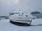 1996 BAYLINER  MARINE TRL