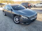 2009 NISSAN  MAXIMA