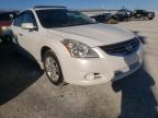 2010 NISSAN  ALTIMA