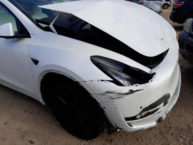 2020 TESLA MODEL Y 5YJYGDEEXLF024371