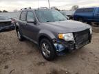 2009 FORD  ESCAPE