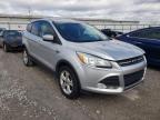 2013 FORD  ESCAPE