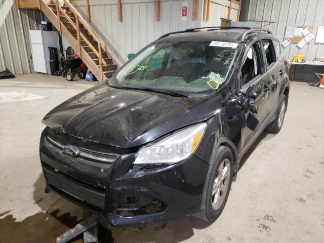 1FMCU9G92DUB41317 Ford Escape Se 2013. Фото: 1