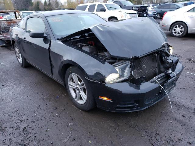 Salvage cars for sale from Copart Portland, OR: 2013 Ford Mustang