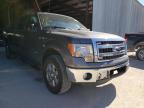 2013 FORD  F-150