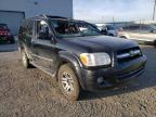 2005 TOYOTA  SEQUOIA