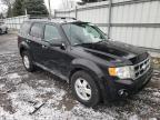 2010 FORD  ESCAPE