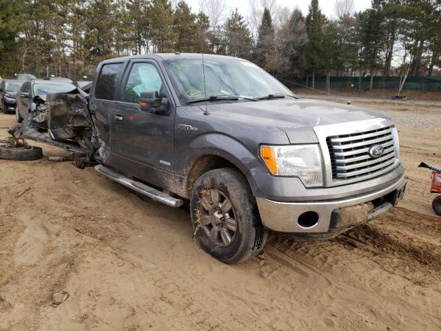 Vehiculos salvage en venta de Copart Ham Lake, MN: 2012 Ford F150 Super