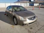 2007 NISSAN  MAXIMA